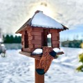 skarpetki-w-misie-brązowe.jpg